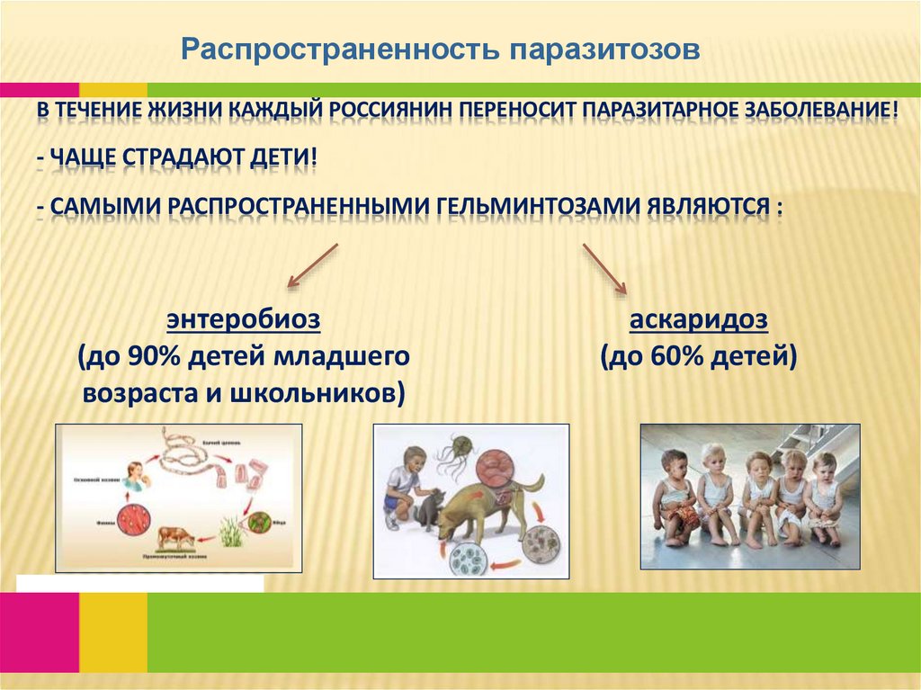В течение жизни каждый россиянин переносит паразитарное заболевание! - Чаще страдают дети! - Самыми распространенными