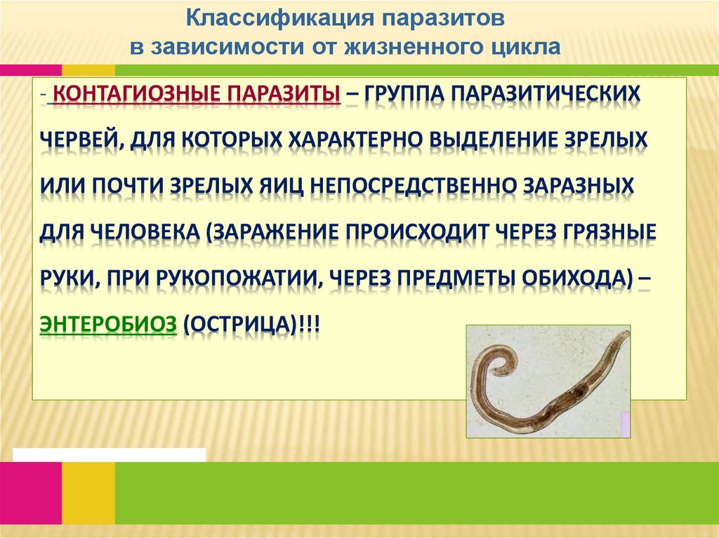 контагиозные паразиты – группа паразитических червей, для которых характерно выделение зрелых или почти зрелых яиц