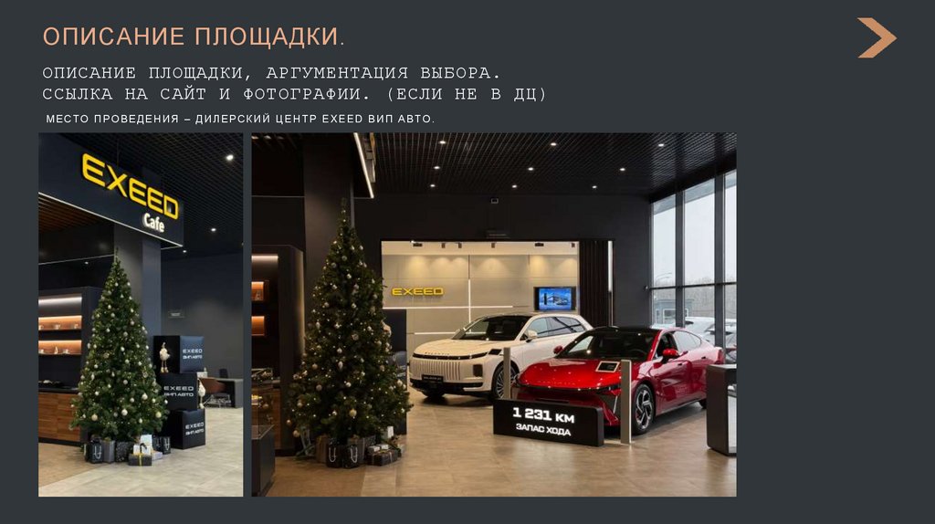 ОПИСАНИЕ ПЛОЩАДКИ.