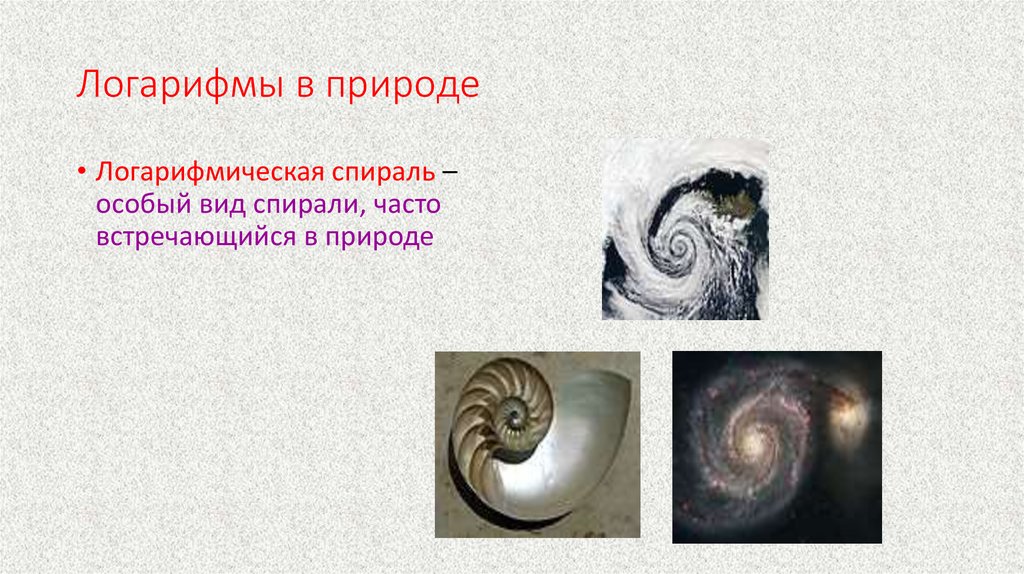 Логарифмы в природе