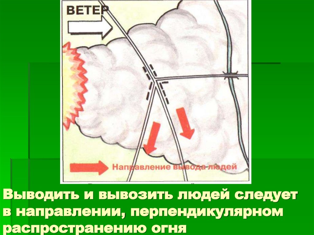 Выводить и вывозить людей следует в направлении, перпендикулярном распространению огня