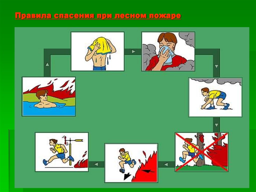 Правила спасения при лесном пожаре