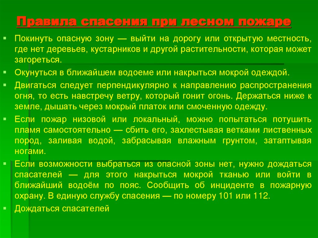 Правила спасения при лесном пожаре