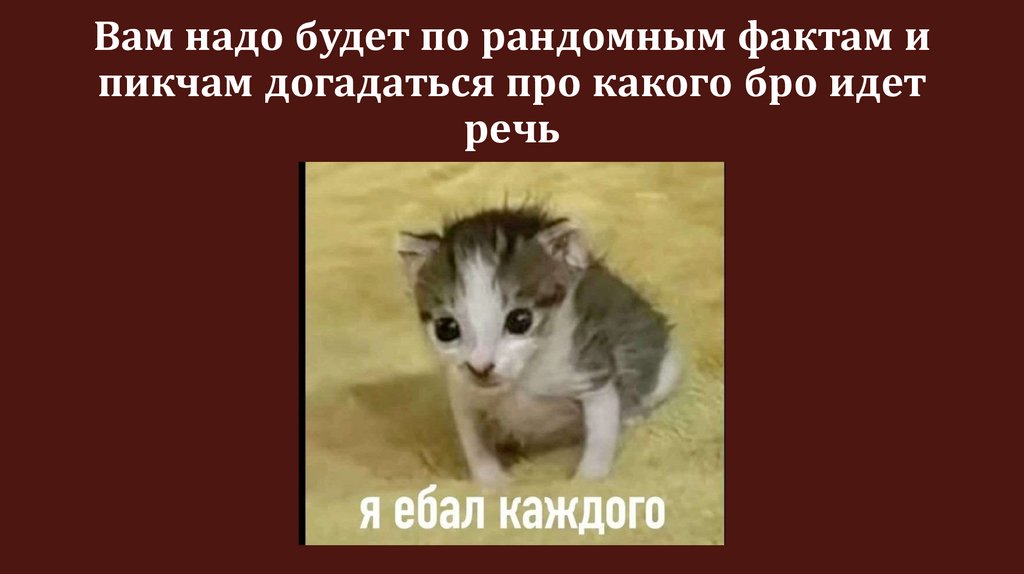 Вам надо будет по рандомным фактам и пикчам догадаться про какого бро идет речь