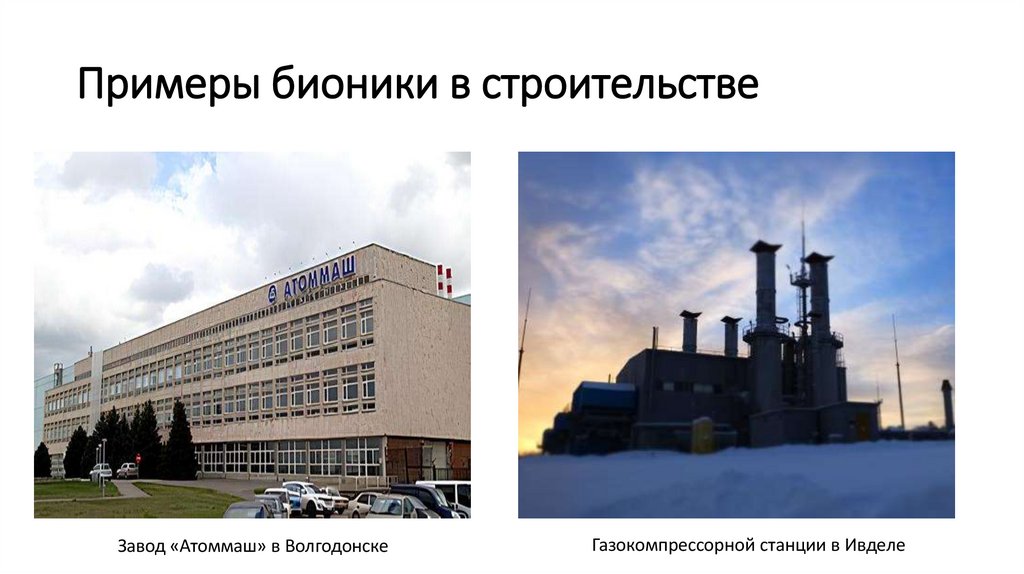 Примеры бионики в строительстве