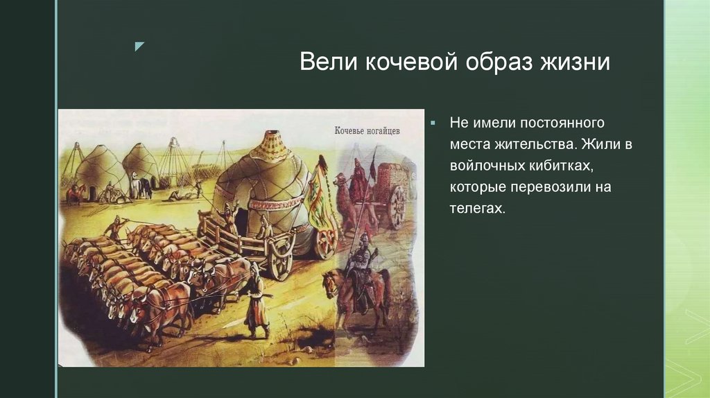 Вели кочевой образ жизни