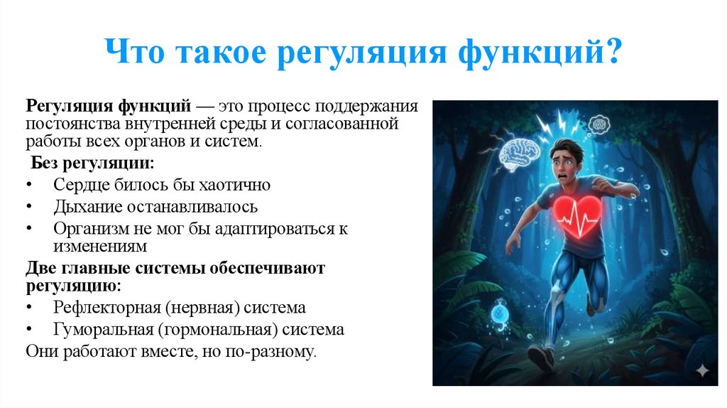 Что такое регуляция функций?