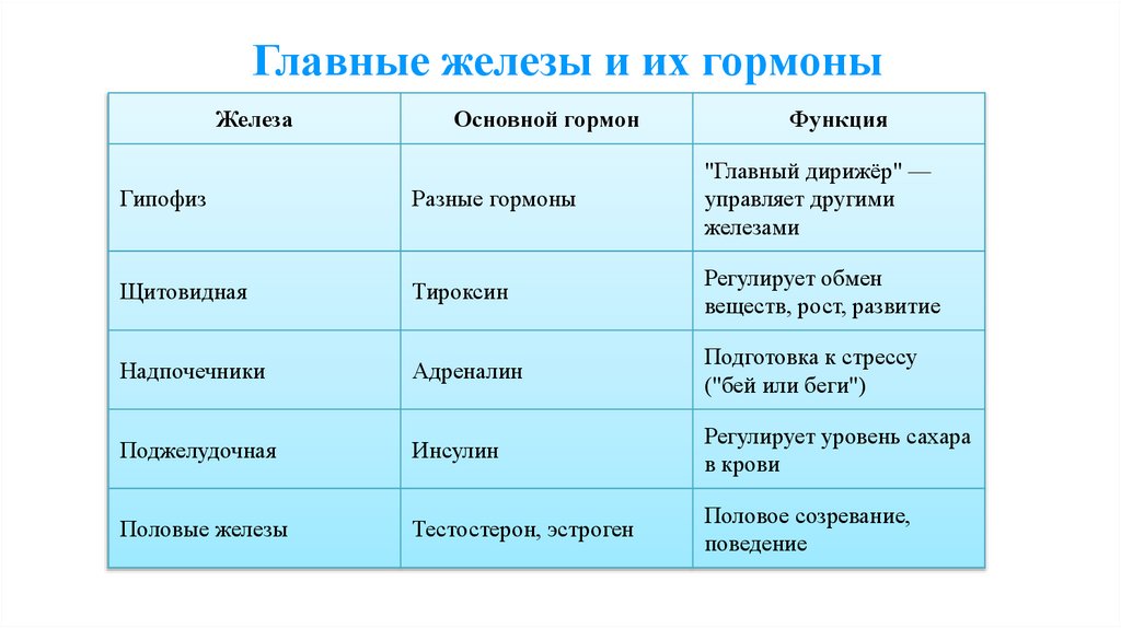 Главные железы и их гормоны