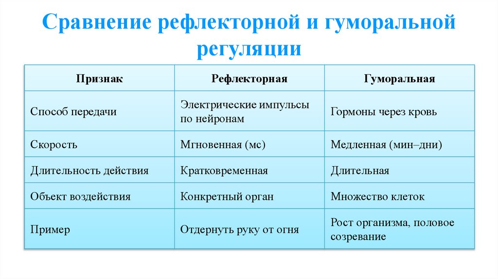 Сравнение рефлекторной и гуморальной регуляции
