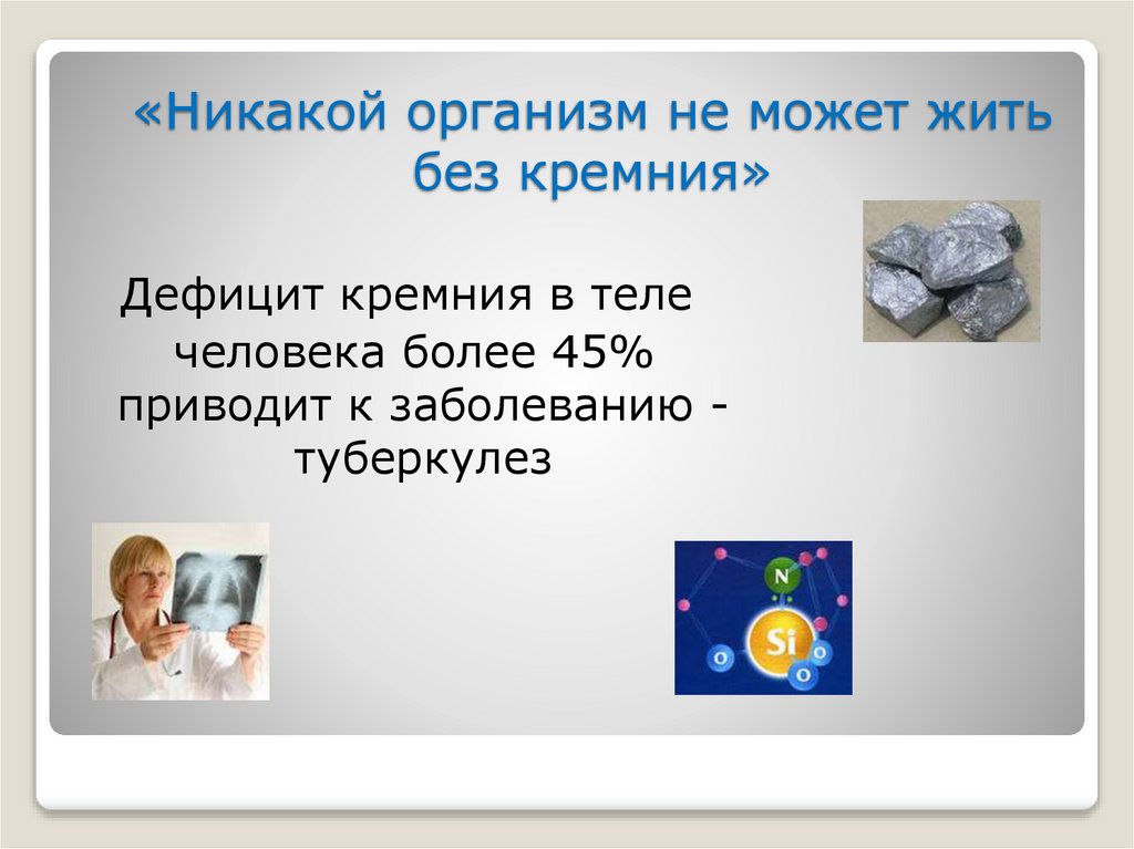 «Никакой организм не может жить без кремния»