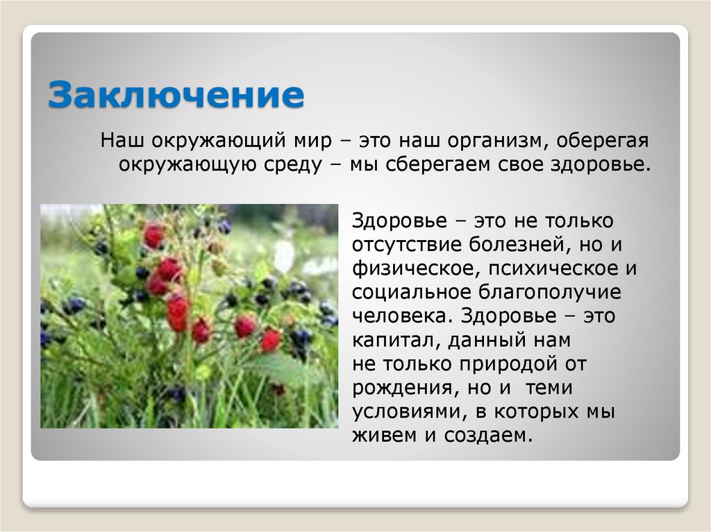 Заключение