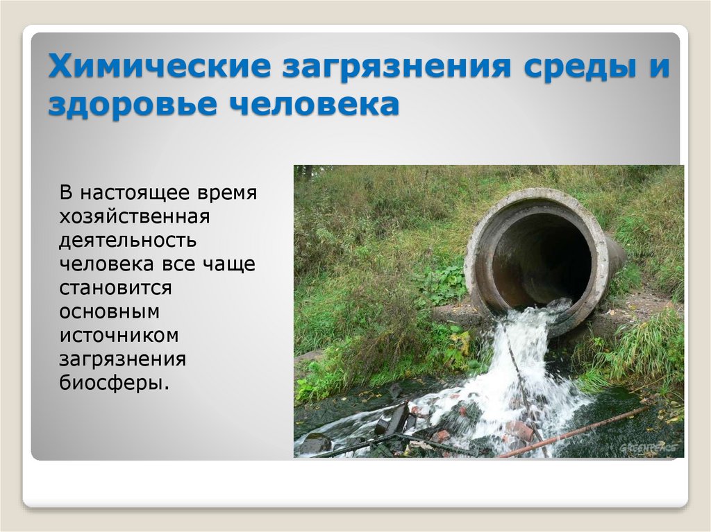 Химические загрязнения среды и здоровье человека