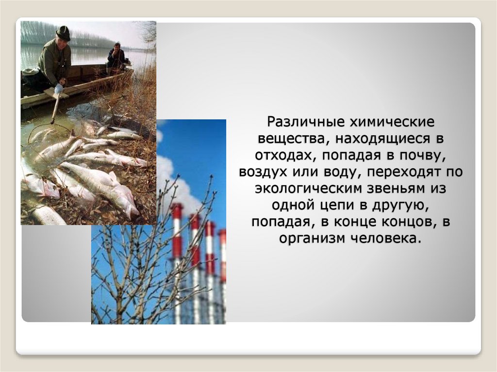 Различные химические вещества, находящиеся в отходах, попадая в почву, воздух или воду, переходят по экологическим звеньям из