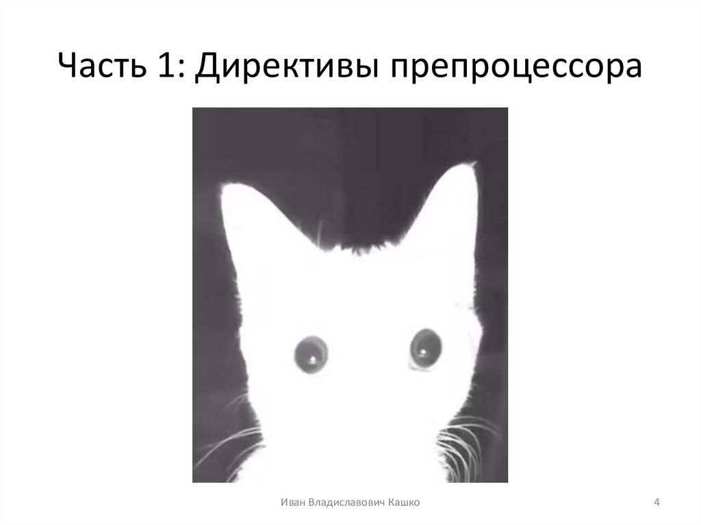 Часть 1: Директивы препроцессора