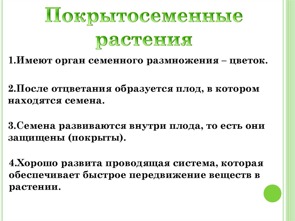 Покрытосеменные растения