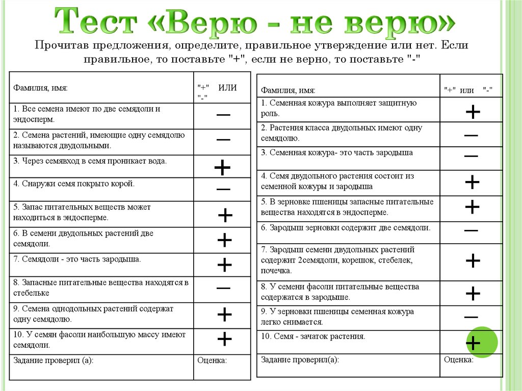 Тест «Верю - не верю»