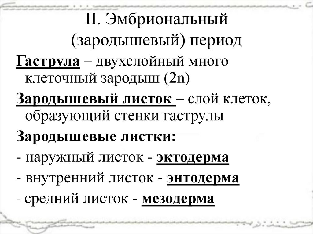II. Эмбриональный (зародышевый) период