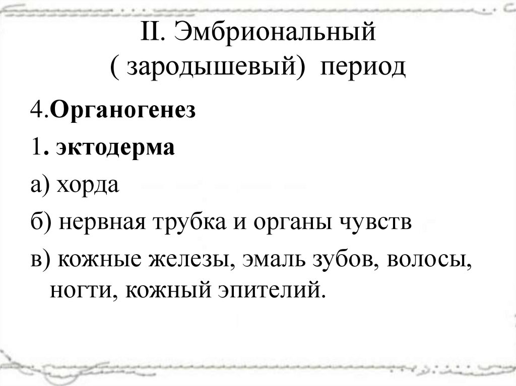 II. Эмбриональный ( зародышевый) период