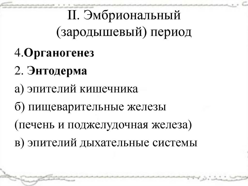 II. Эмбриональный (зародышевый) период