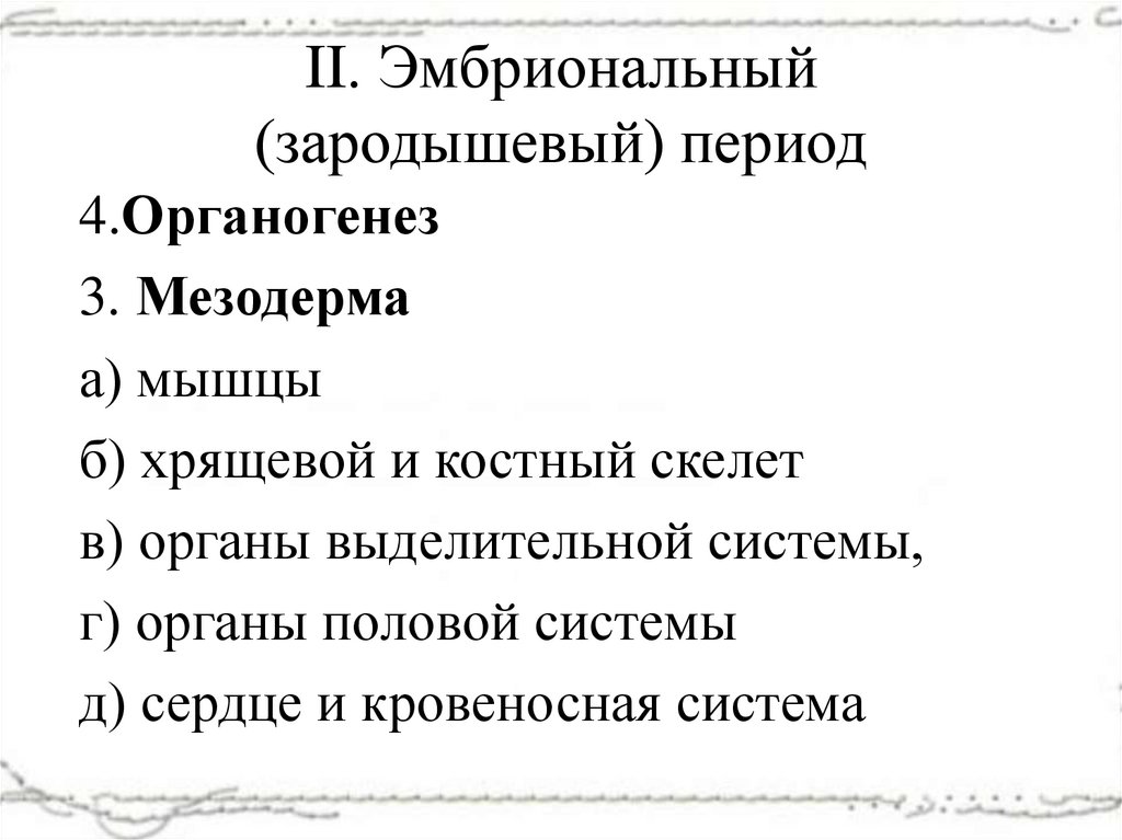 II. Эмбриональный (зародышевый) период