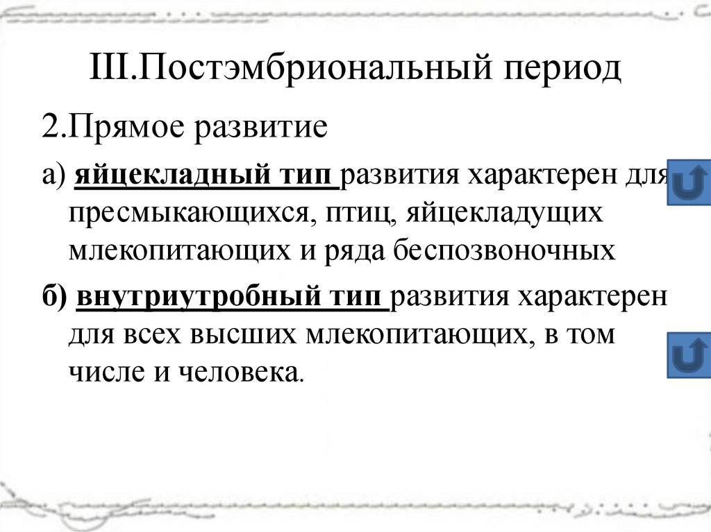 III.Постэмбриональный период