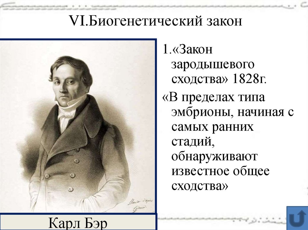 VI.Биогенетический закон