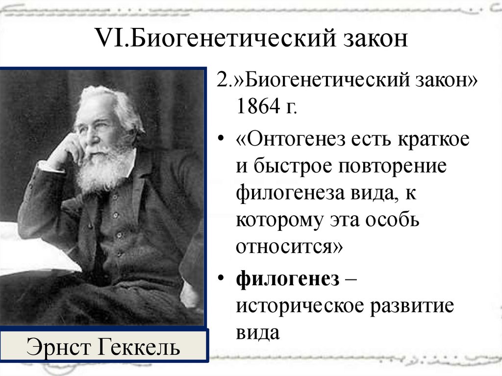 VI.Биогенетический закон