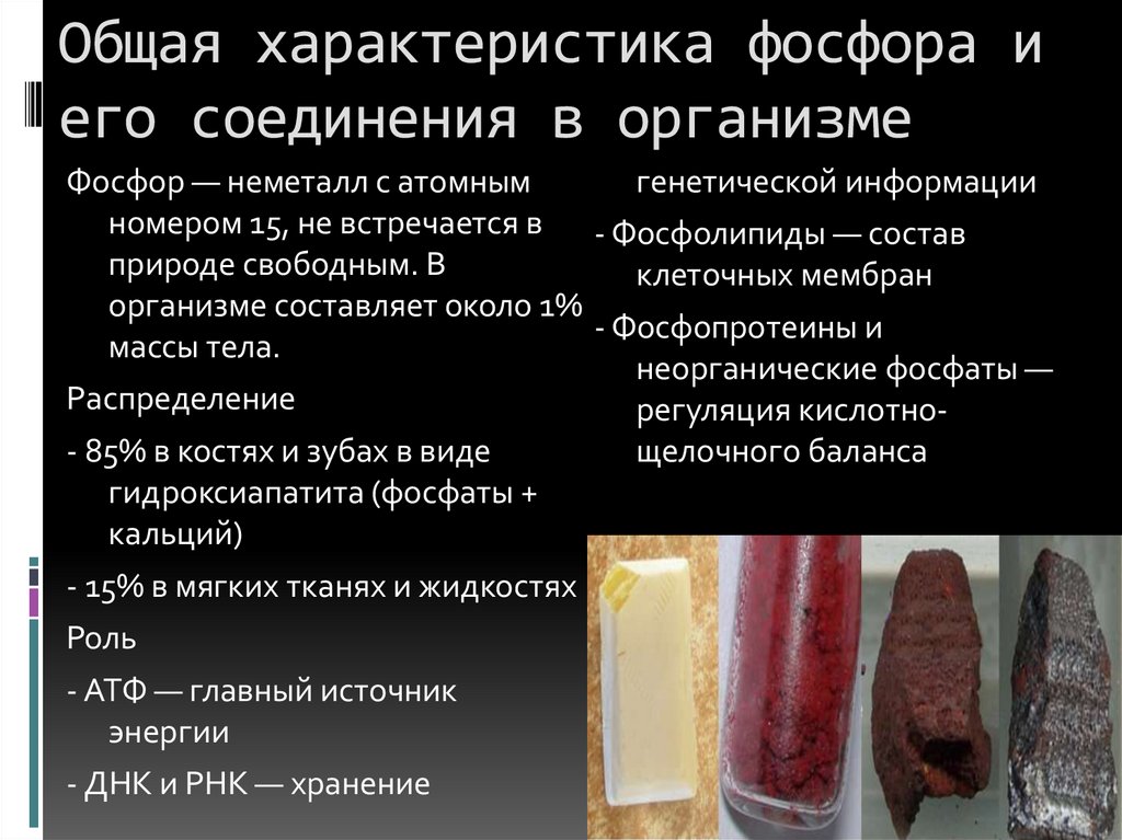 Общая характеристика фосфора и его соединения в организме