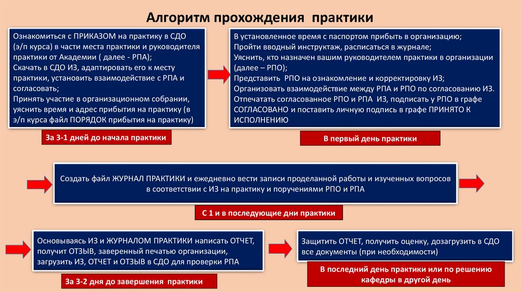 Алгоритм прохождения практики