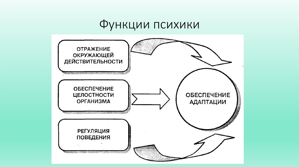 Функции психики
