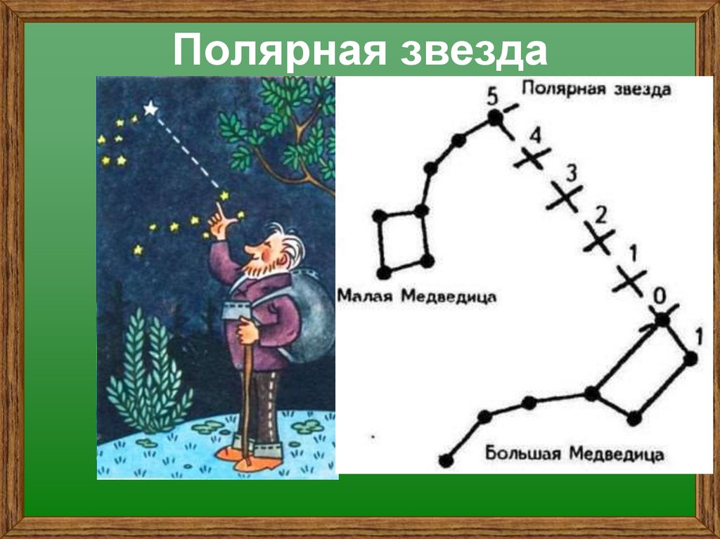 Полярная звезда