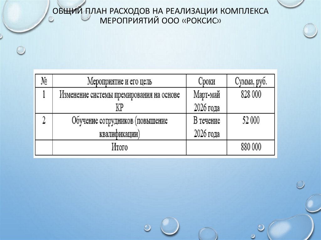 Общий план расходов на реализации комплекса мероприятий ООО «Роксис»