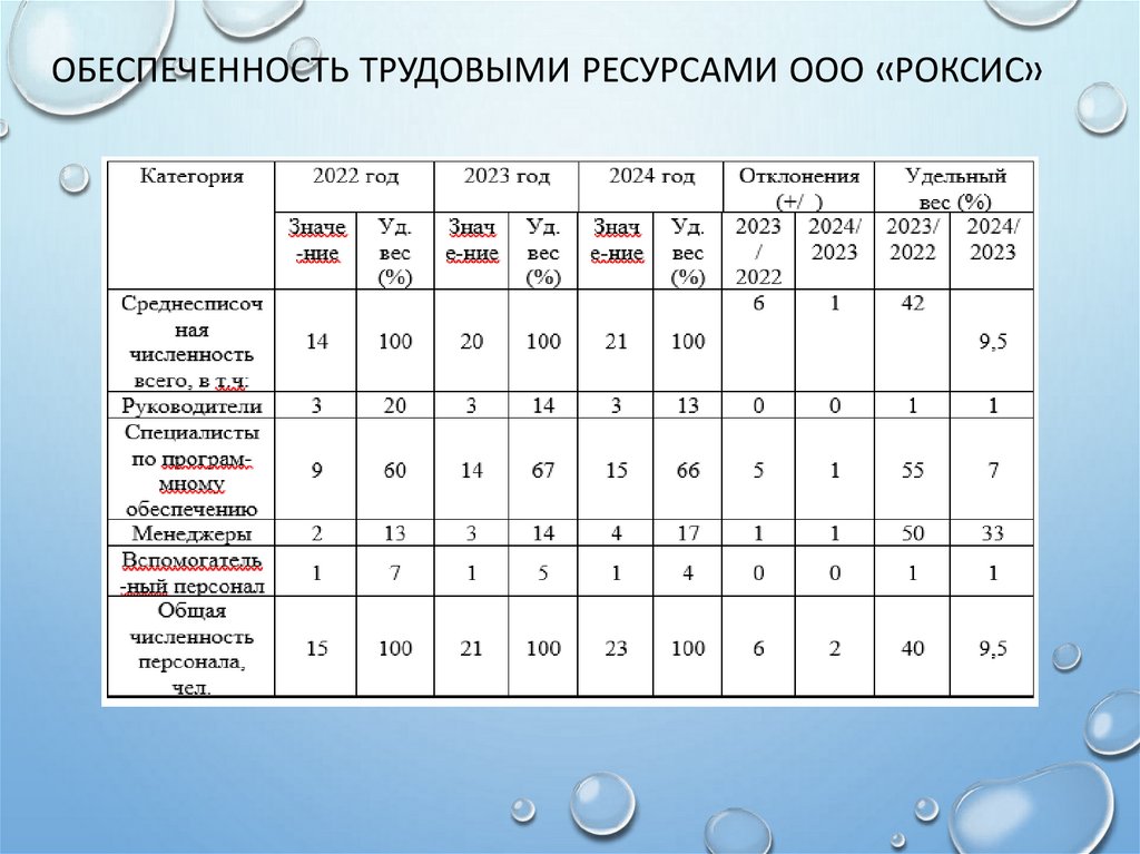 Обеспеченность трудовыми ресурсами ООО «Роксис»