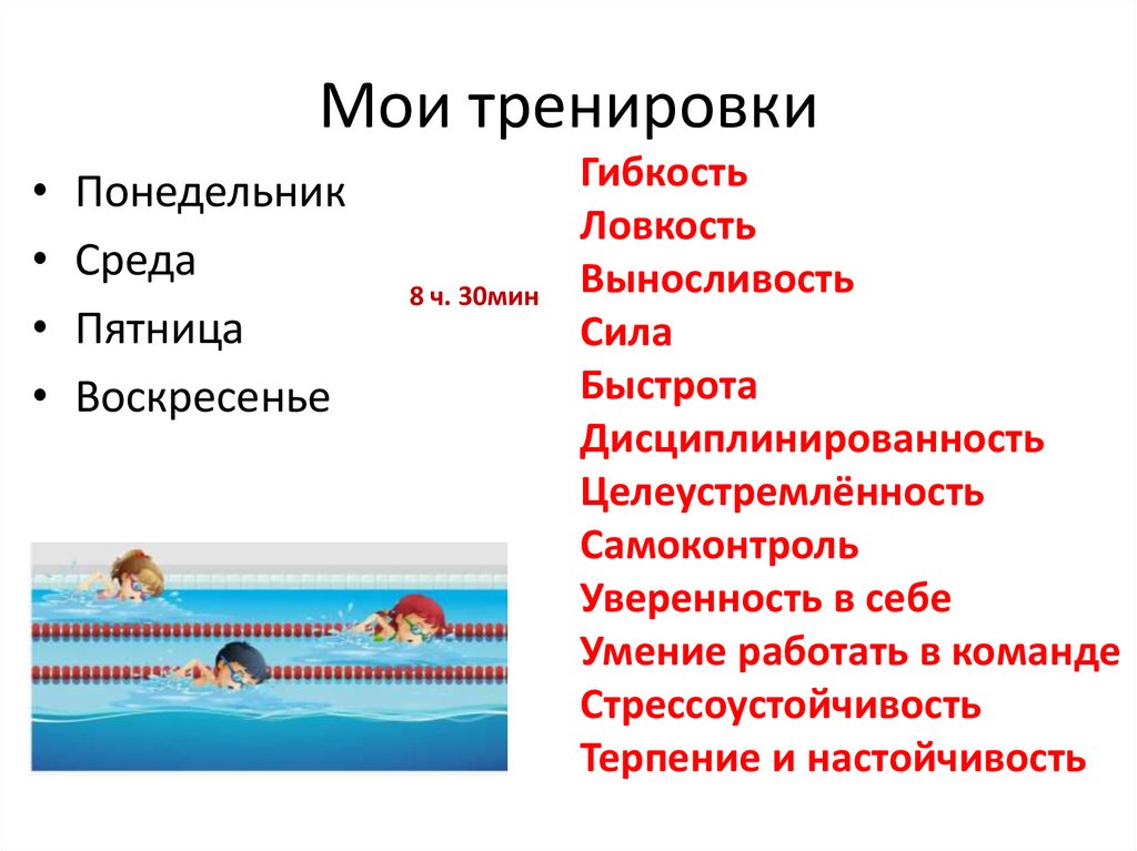 Мои тренировки