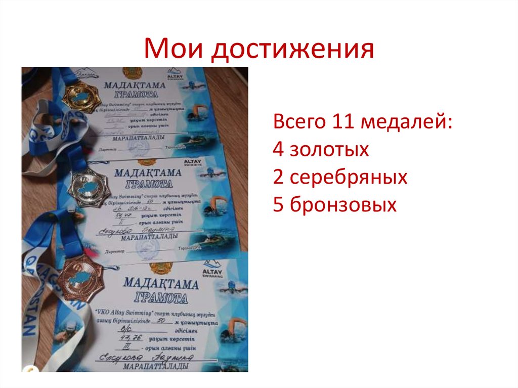 Мои достижения