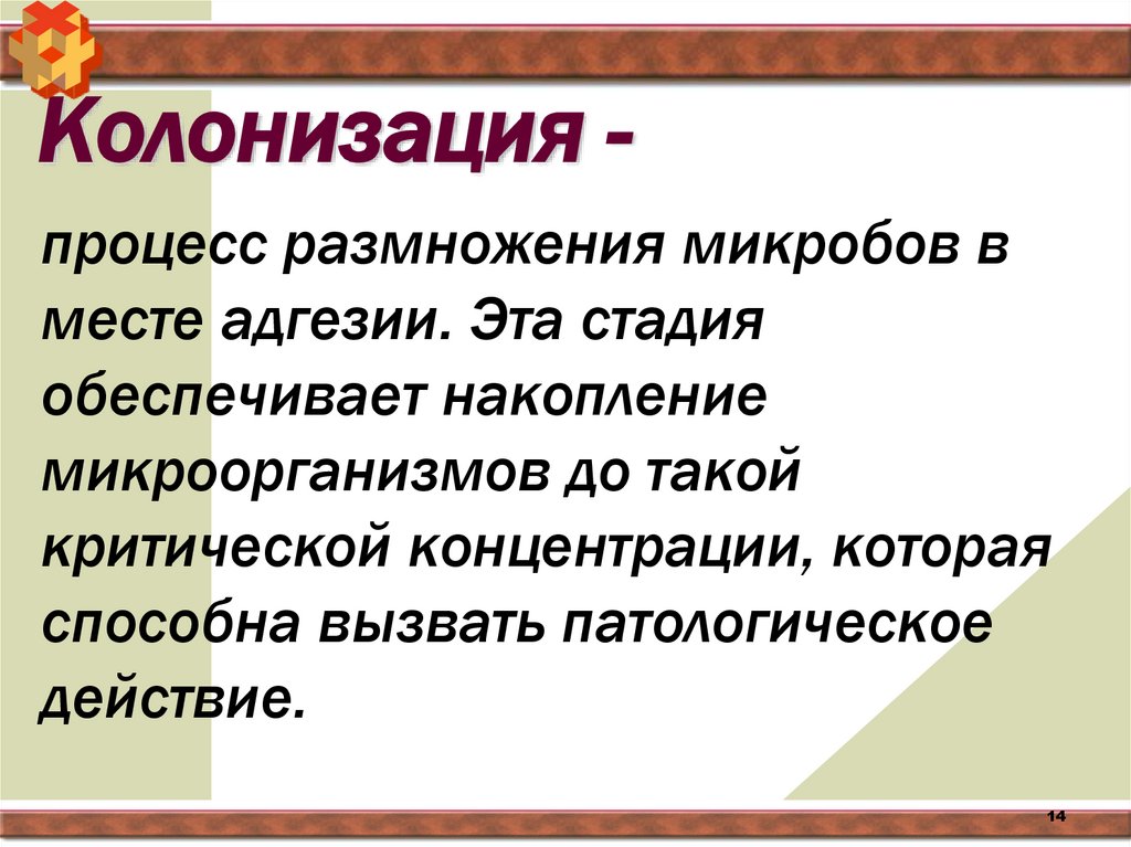 Колонизация -