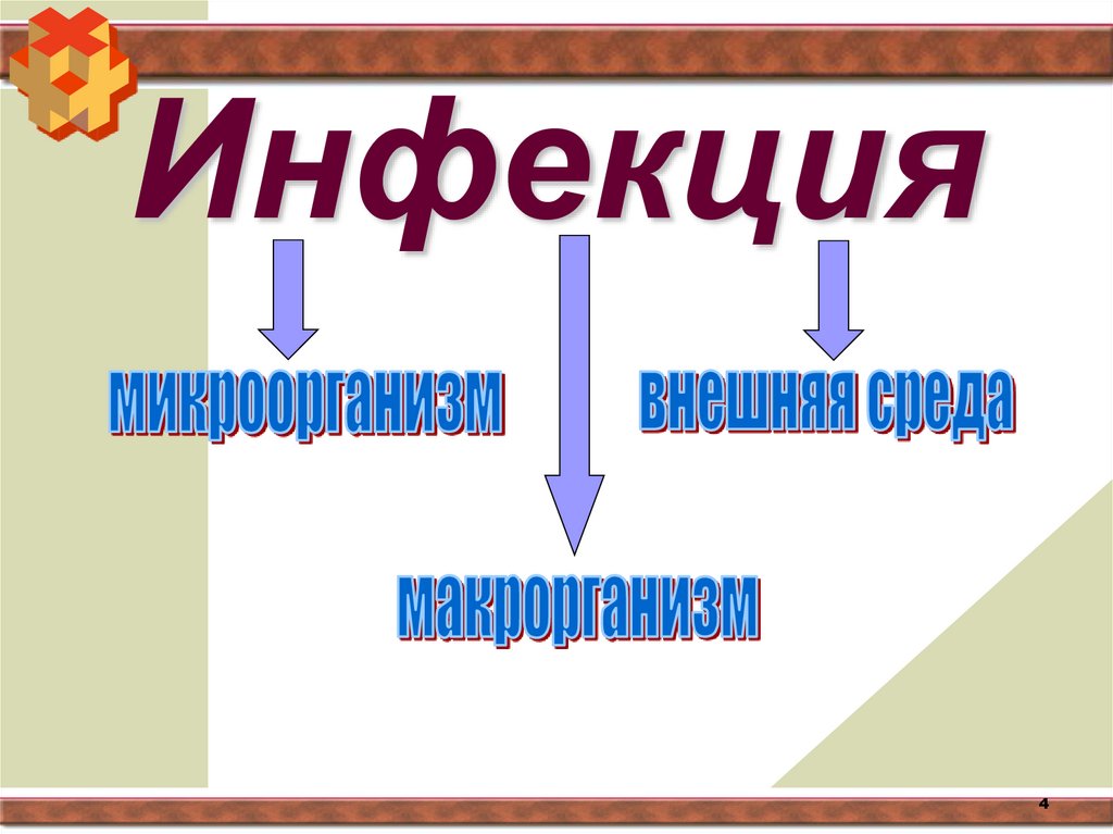 Инфекция