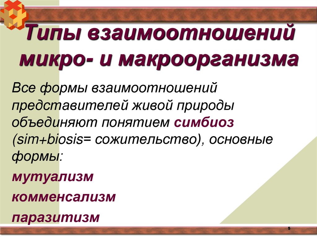 Типы взаимоотношений микро- и макроорганизма