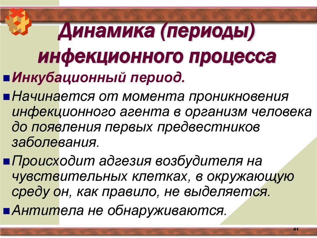 Динамика (периоды) инфекционного процесса