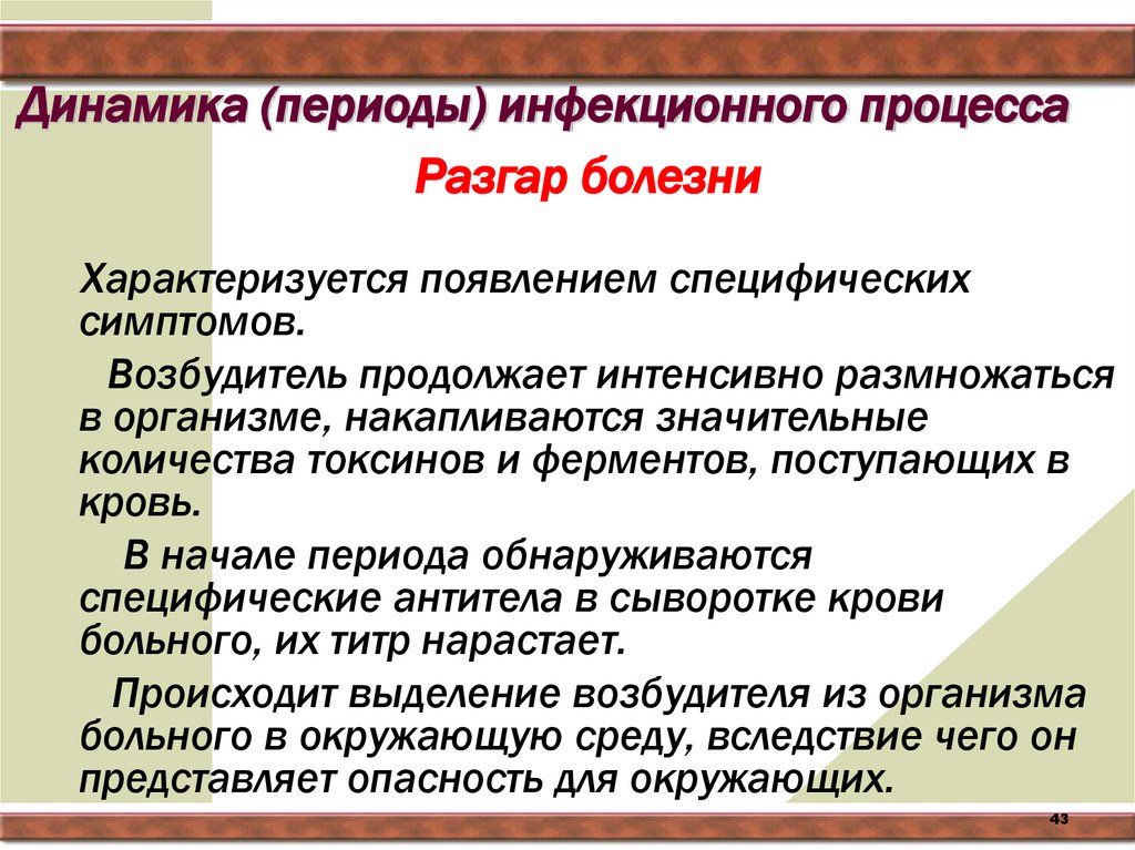 Динамика (периоды) инфекционного процесса