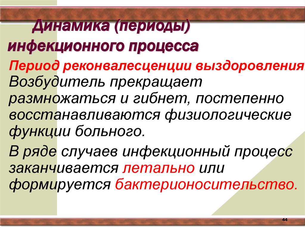 Динамика (периоды) инфекционного процесса