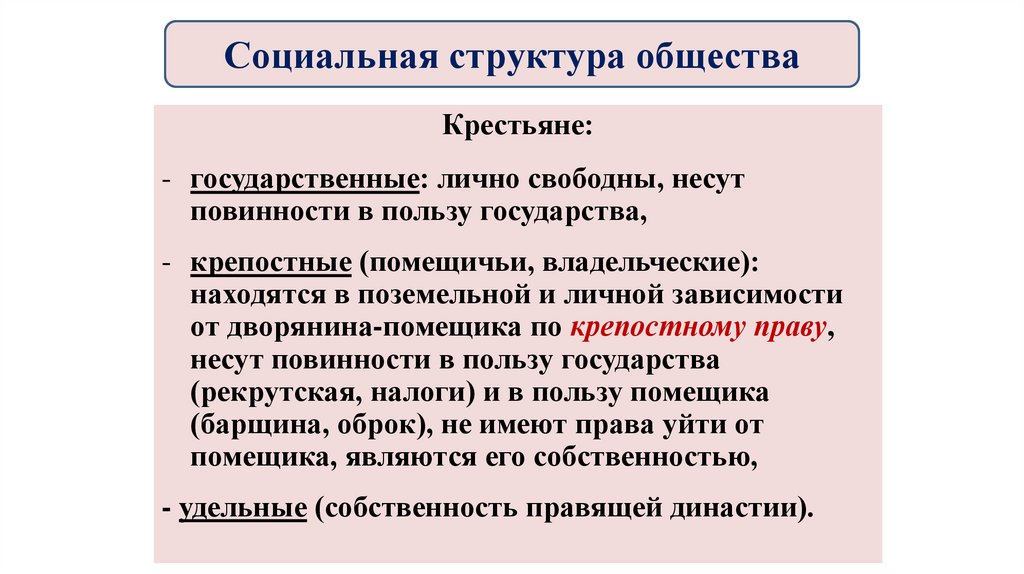 Социальная структура общества