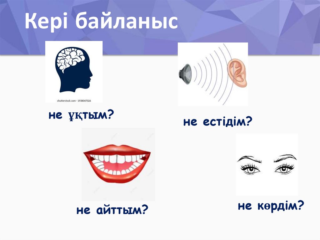 Кері байланыс