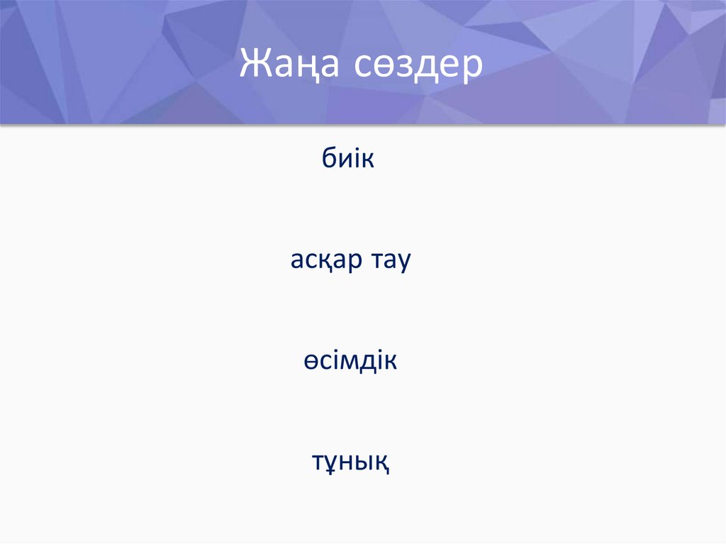 Жаңа сөздер