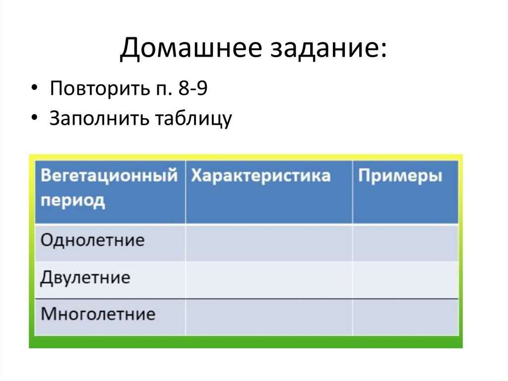 Домашнее задание: