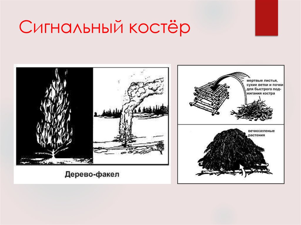 Сигнальный костёр