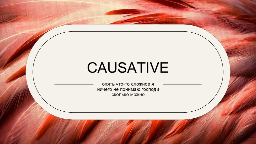 CAUSATIVE - online presentation