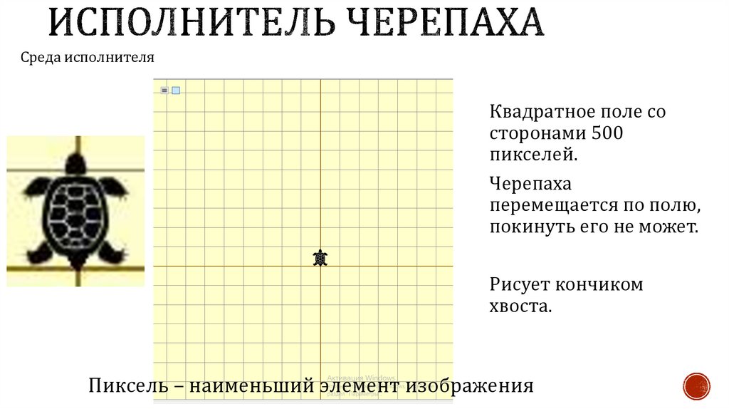 Исполнитель Черепаха