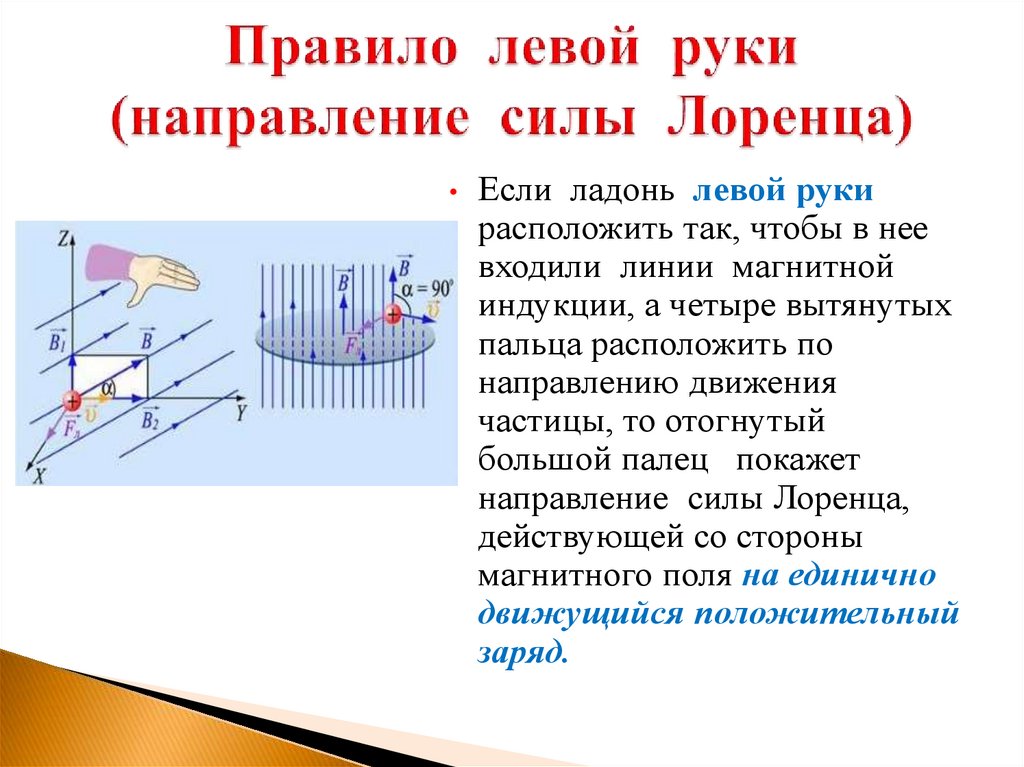 Правило левой руки (направление силы Лоренца)