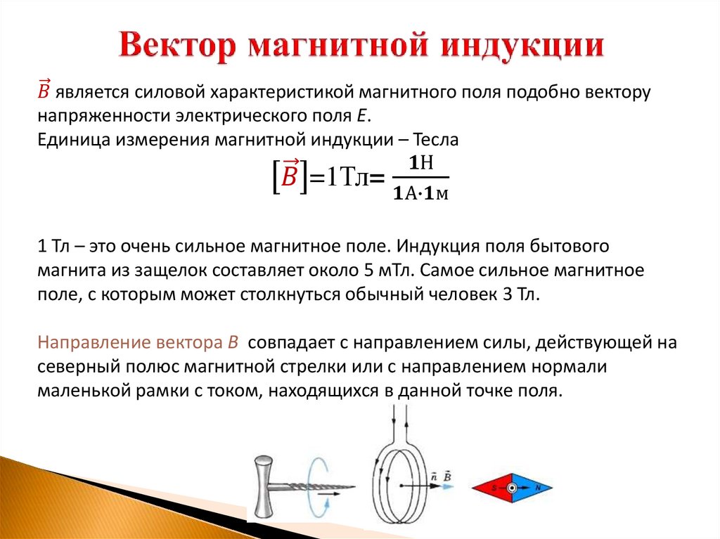 Вектор магнитной индукции
